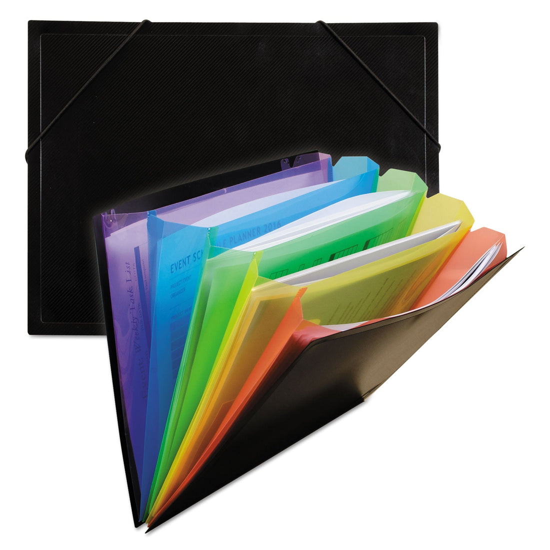 Luminara Learning Organizer | 5-Section File Case — alternate product view 1