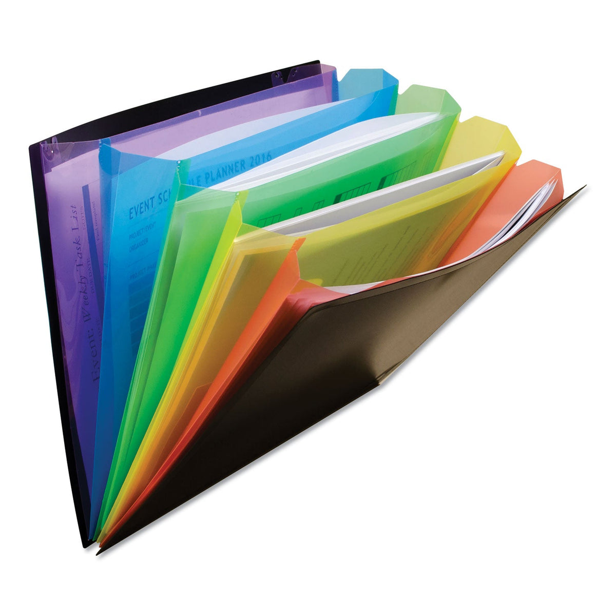 Luminara Learning Organizer | 5-Section File Case — alternate product view 2
